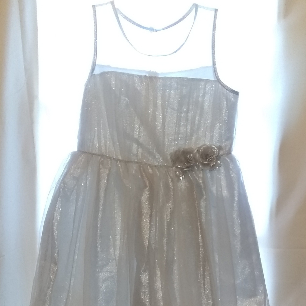 Rosenau youth Gown